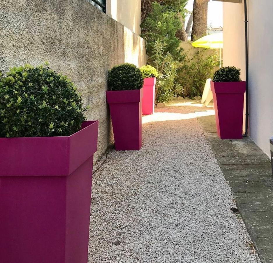 Villa Du Golfe - Studio Saint Jean La Ciotat Exteriör bild